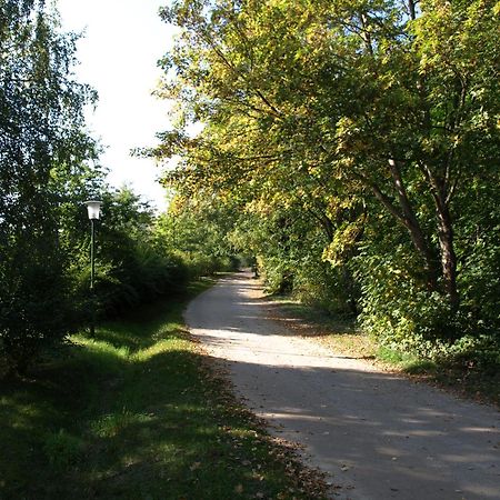 Ferienhaus Am Klosterwald Dargun Buitenkant foto