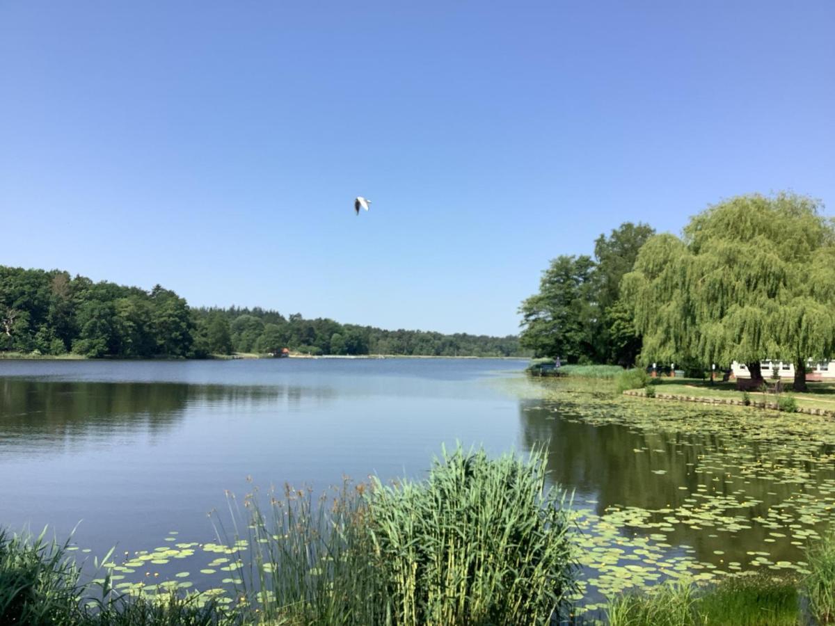 Ferienhaus Am Klosterwald Dargun Buitenkant foto