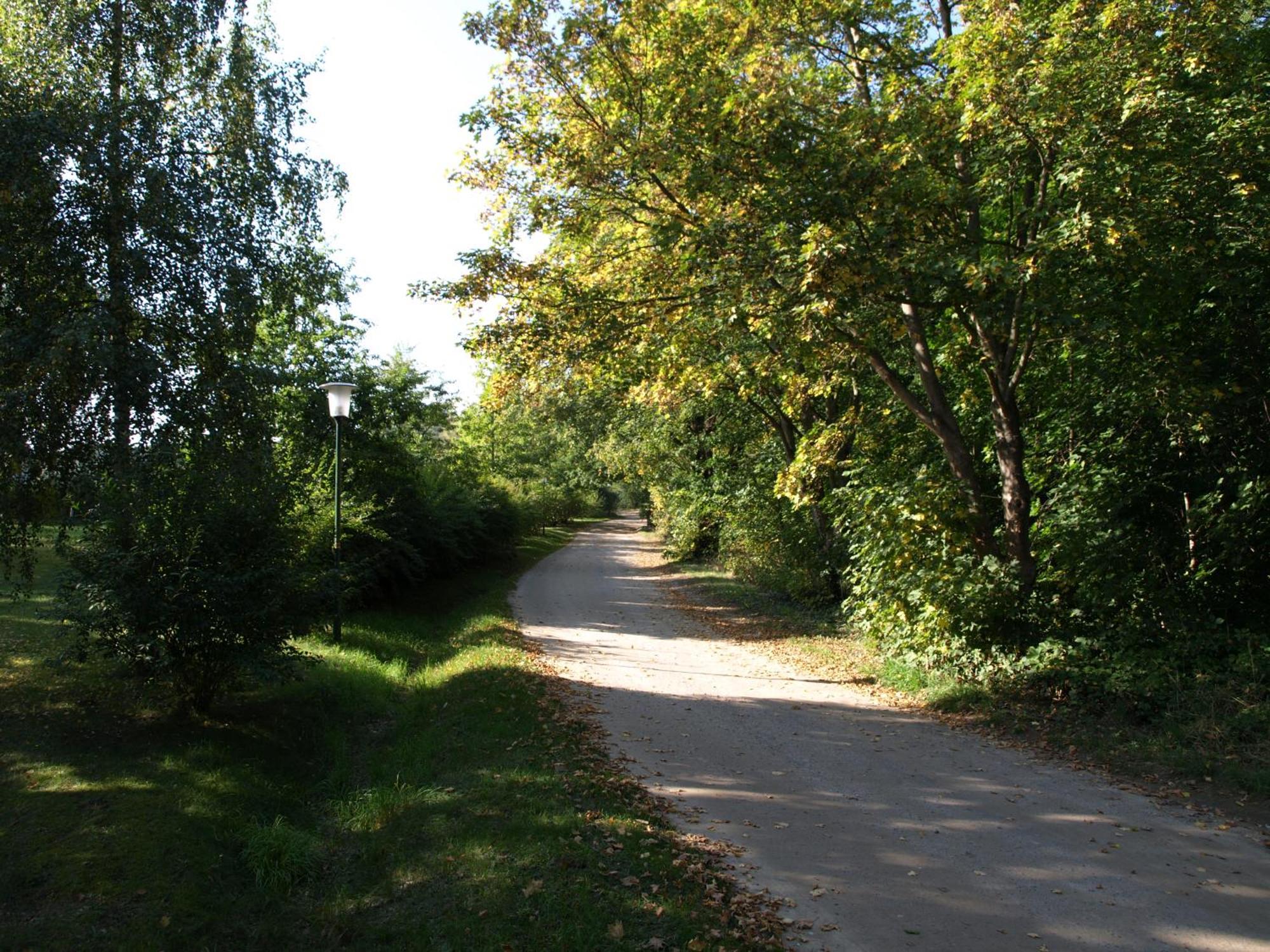 Ferienhaus Am Klosterwald Dargun Buitenkant foto